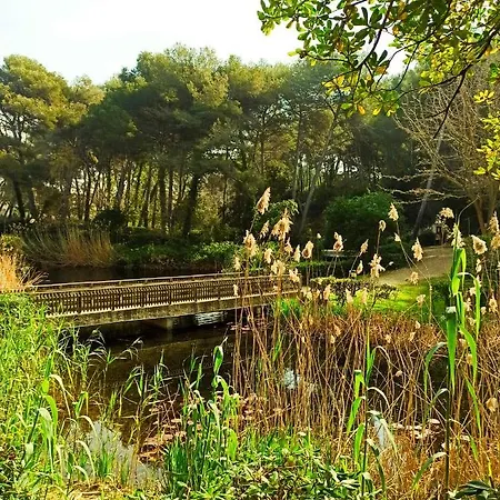 A Pieds Nus Jusqu'a La Six-Fours-les-Plages