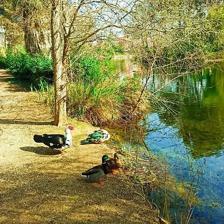 شقة A Pieds Nus Jusqu'a La سيكس-فور-لو-بلاج