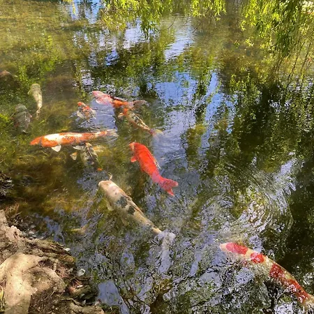 شقة A Pieds Nus Jusqu'a La سيكس-فور-لو-بلاج